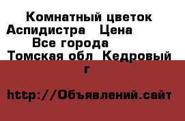 Комнатный цветок Аспидистра › Цена ­ 150 - Все города  »    . Томская обл.,Кедровый г.